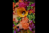 weddings_007