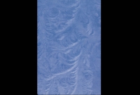 nature_007-2