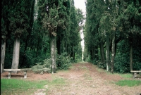 ol_001