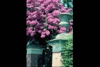 ol_002