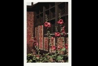 publications_029
